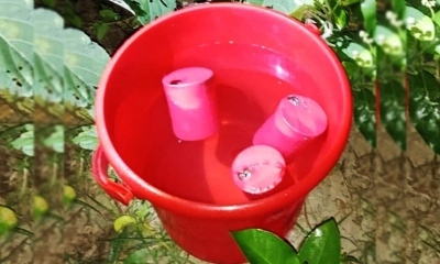 যশোরে পরিত্যক্ত অবস্থায় তিনটি ককটেল উদ্ধার