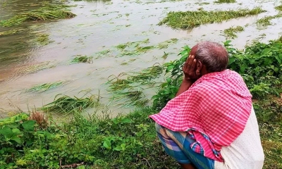 অসময়ের বৃষ্টিতে ধান ও শীতকালীন সবজির ব্যাপক ক্ষতি
