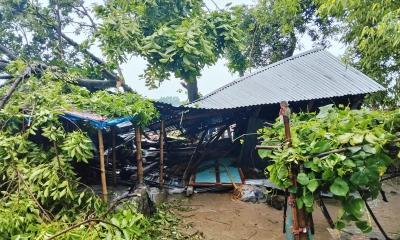 ঝড়ে বসতবাড়ির ওপর গাছ পড়ে মা-মেয়েসহ নিহত ৩