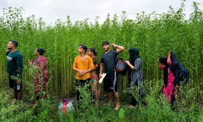 কুষ্টিয়ায় ৮ জনকে পুশ-ইনের চেষ্টা, বিজিবির বাধায় ফিরল ভারতে