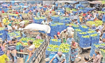 জমজমাট ‘বানেশ্বর’  আমের হাট