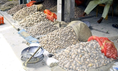 আলু নিয়ে বিপাকে উত্তরের কৃষক