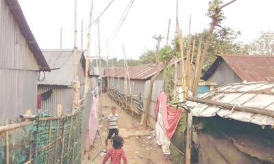 সবজির মতো সর্বত্র মাদক