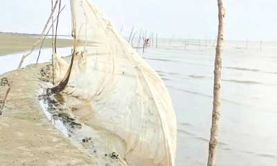 বেড়জাল, গড়াজালে ধ্বংস সাগরের জীববৈচিত্র্য