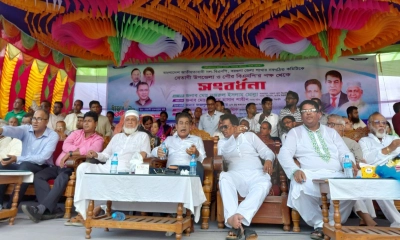 বেতাগীতে জেলা বিএনপির নব-নির্বাচিত কমিটিকে সংবর্ধনা, নেতাকর্মীদের ঢল