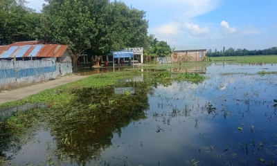 ১৪ বছরের জলাবদ্ধতায় পীরগঞ্জের ৫ বিল