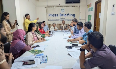 বাজারে বিক্রি হওয়া রঙে উচ্চ মাত্রার সিসা, জনস্বাস্থ্যে ঝুঁকি