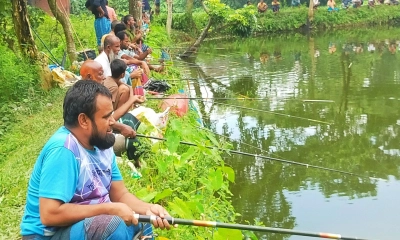 পুকুরে বড়শি দিয়ে  মাছ ধরার উৎসব