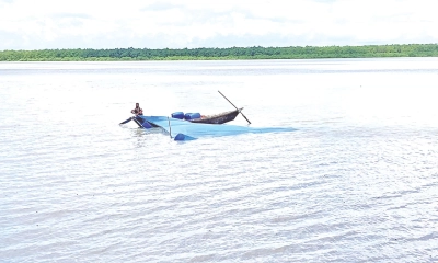 নিষিদ্ধ বেহুন্দি জালে থামছে না নিধনযজ্ঞ
