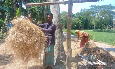 কেজি দরে  খড় বিক্রি