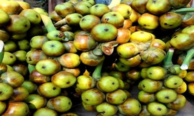 তীব্র গরমে বেড়েছে  তালের শাঁসের চাহিদা