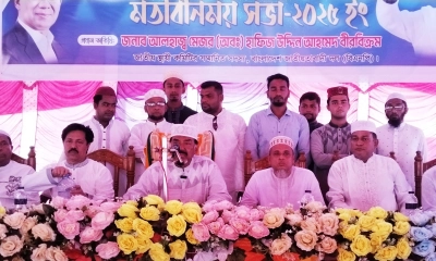 ভারতে বসে নির্বাচন নিয়ে ষড়যন্ত্র করছে আ. লীগ: হাফিজ উদ্দিন
