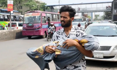 ভাইরাল ছবি সম্পর্কে যা জানা গেল