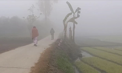 শীতে কাঁপছে তেঁতুলিয়া, তাপমাত্রা নেমে ১১ ডিগ্রিতে