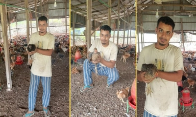 ৪০ হাজার টাকার খামারে এখন ১০ হাজার মুরগি