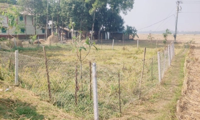 দ্বন্দ্বের জমিটিতে বেড়া দেওয়া আছে। ছবি- রূপালী বাংলাদেশ