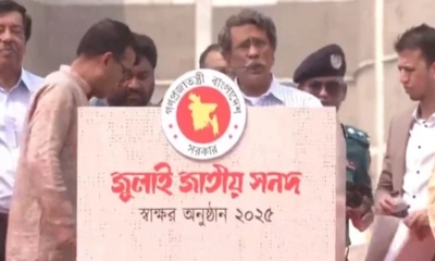 জুলাই যোদ্ধাদের দাবিতে সনদ সংশোধন করা হচ্ছে: আলী রীয়াজ