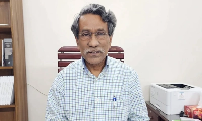 হ্যাঁ ভোটের প্রচার করতে পারবেন সরকারি চাকরিজীবীরা : আলী রীয়াজ