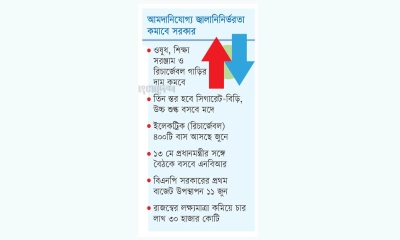 বাজেটে কমতে ও বাড়তে পারে যেসব পণ্যের দাম