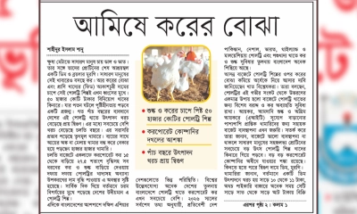 আমিষে করের বোঝা