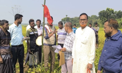 আদালতের রায়ে জমি ফিরে পেলেন আমজাদ