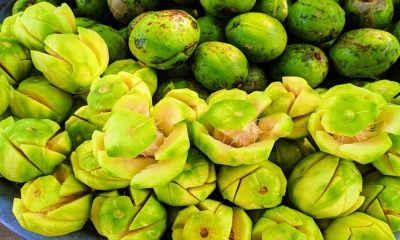 আমড়া খাওয়ার উপকারিতা