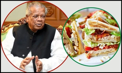 আদালতে ‘স্যান্ডউইচ’ চেয়ে পাননি আমু