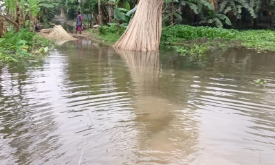 বাগাতিপাড়ায় রাস্তায় পানি উঠে চলাচলে দুর্ভোগ সুষ্টি হয়েছে। ছবি- রূপালী বাংলাদেশ