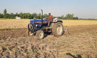 হাল চাষ করে রবিশস্য চাষের জন্য জমি প্রস্তুত করা হচ্ছে । ছবি- রূপালী বাংলাদেশ