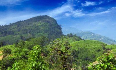 সীমান্তে আরাকান আর্মির মাইন বিস্ফোরণে মিয়ানমার নাগরিক নিহত
