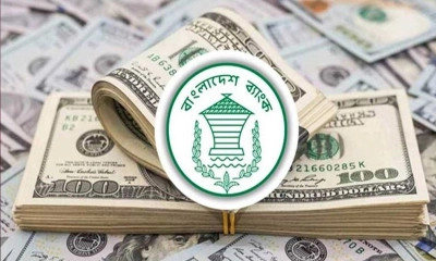 ৩৫৩ মিলিয়ন ডলার কিনল বাংলাদেশ ব্যাংক 