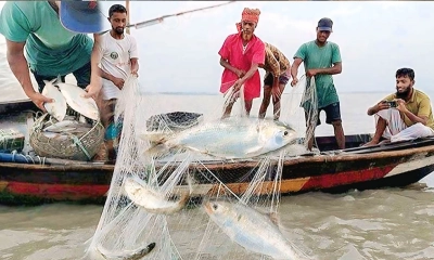 মধ্যরাত থেকে ২২ দিন বন্ধ হচ্ছে ইলিশ ধরা, মাঠে কঠোর প্রশাসন
