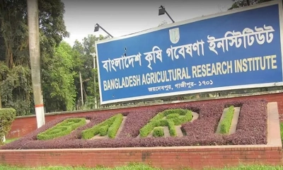 পরীক্ষা ও আবেদন ছাড়াই সরকারি চাকরি পেয়েছেন ৪২ জন