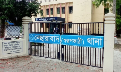 নেছারাবাদ থানা। ছবি- রূপালী বাংলাদেশ