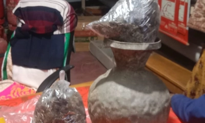 পটুয়াখালীতে গাঁজাসহ দুই জন গ্রেপ্তার