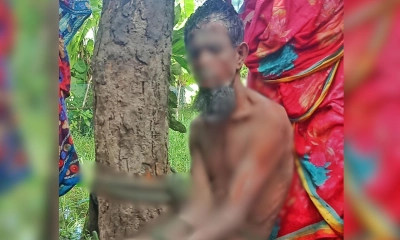 বাউফলে কৃষককে গাছে বেঁধে নির্যাতনের অভিযোগ