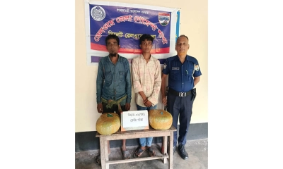 আখাউড়ায় গাঁজাসহ বাবা-ছেলে গ্রেপ্তার