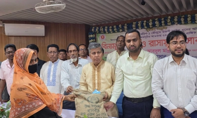 নবীনগরে বিনামূল্যে বীজ ও সার বিতরণ