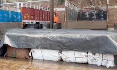 বেনাপোলে মিথ্যা ঘোষণায় আমদানি করা রুই মাছ আটক