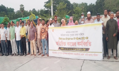 অতিরিক্ত ভাতা চালুর দাবিতে বেনাপোল স্থলবন্দরে কর্মকর্তা-কর্মচারীদের কর্মবিরতি