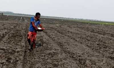 চরফ্যাশনে জমি দখলের পাঁয়তারা। ছবি- রূপালী বাংলাদেশ