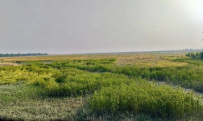 ছবি- রূপালী বাংলাদেশ