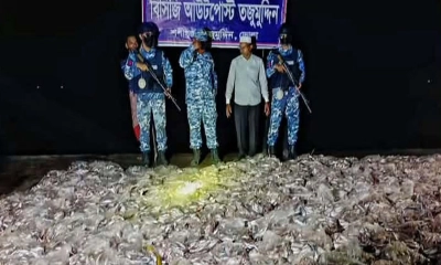 যৌথ অভিযানে বিপুল পাঙাশের পোনা ও জাটকা ইলিশ জব্দ