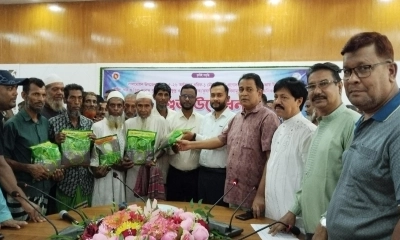 লালমোহনে কৃষকদের মাঝে সার-বীজ বিতরণ