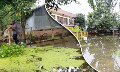 শার্শায় বন্যায় প্লাবিত বিস্তীর্ণ অঞ্চল, আশ্রয়কেন্দ্রে আসছে মানুষ