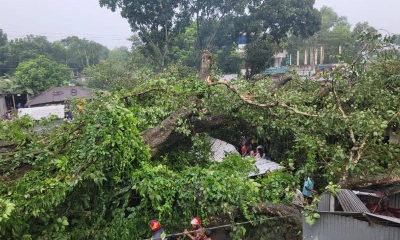 গোপালপুরে শতবর্ষী বটগাছ ভেঙে আহত ১৭