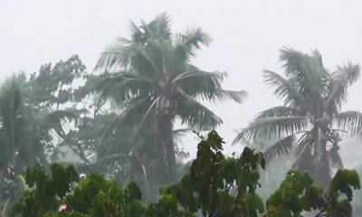 যেসব জেলায় দুপুরের মধ্যে ঝড়বৃষ্টি হতে পারে
