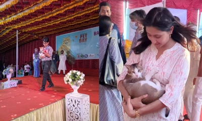 বাকৃবিতে লালগালিচায় ব্যতিক্রমী ‘ক্যাট শো’