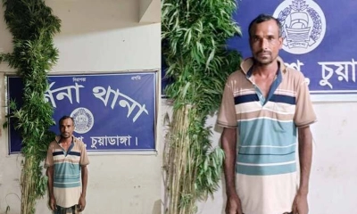 চুয়াডাঙ্গায় ৫২টি গাঁজা গাছসহ চাষি আটক