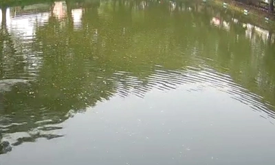 রাতে জ্বিনে নিয়ে যাওয়ার দাবি, পরদিন পুকুরে মিলল শিশুর মরদেহ